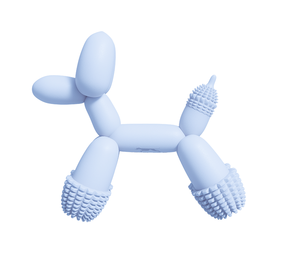 Balloon Dog Toy