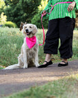 Wagged 4-in-1 Convertible Hands Free All Weatherproof Dog Leash | Pink