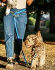 Wagged 4-in-1 Convertible Hands Free All Weatherproof Dog Leash | Dark Blue