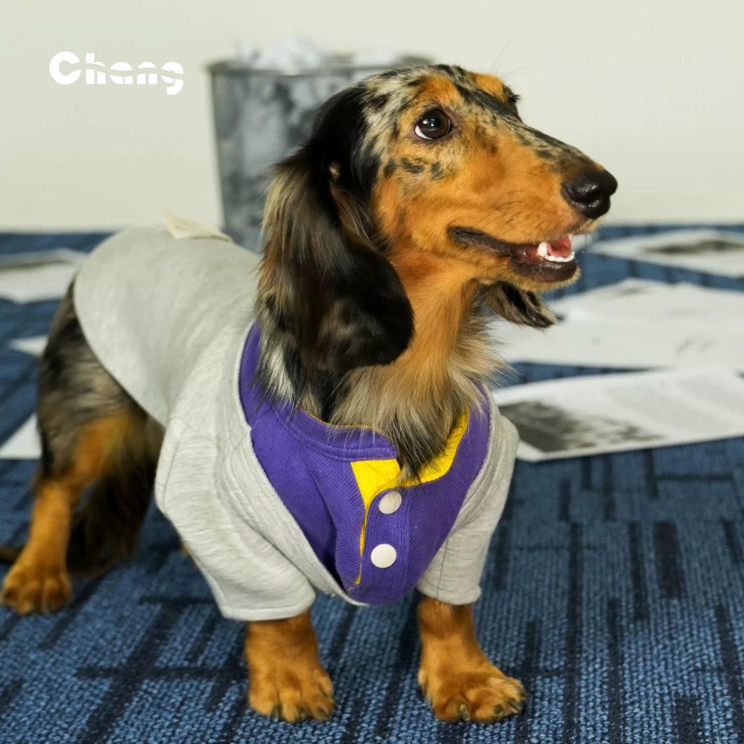 Varsity Pup Sweatshirt