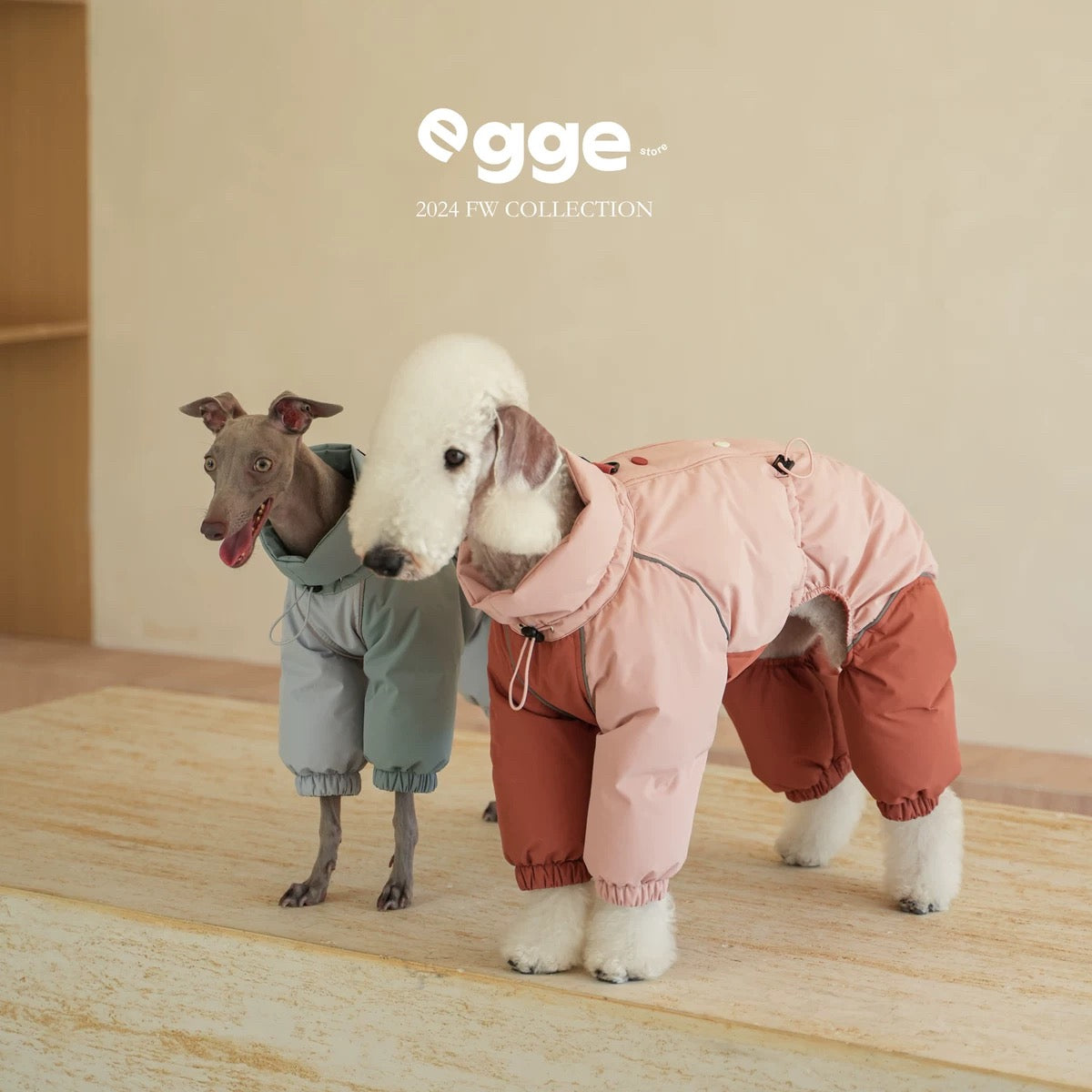 Egge Autumn Breeze Waterproof Dog Jumpsuit | GORE-TEX Dog Suit