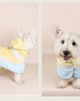 Splicing Outdoor Raincoat
