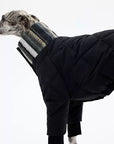Vista Quilted Pet Coat