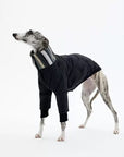 Vista Quilted Pet Coat