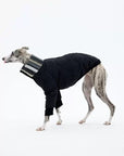 Vista Quilted Pet Coat