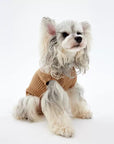 Mid-Neck Knitted Sweater