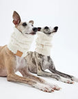 Snowfall Knit Scarf