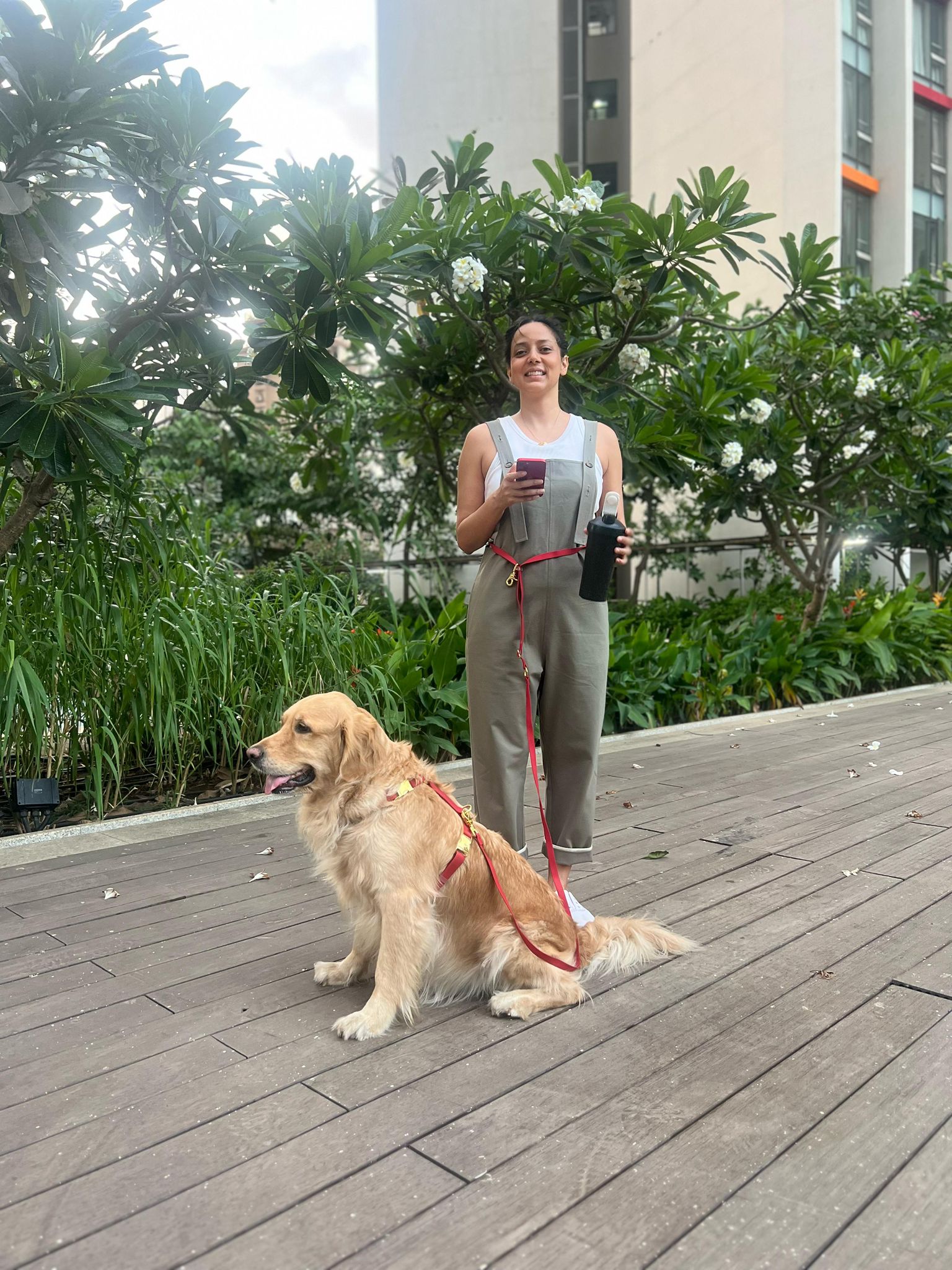 Wagged 4-in-1 Convertible Hands Free All Weatherproof Dog Leash | Dark Blue