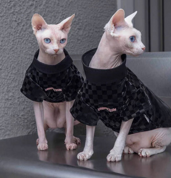 CAT READY TO WEAR