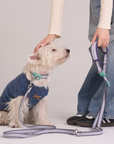 Hands Free Dog Leash Adjustable Pet Leash for Walking