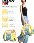 Limoncello Picnic Carrier
