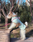 Handmade Fondant Windbreaker Raincoat