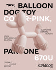 Balloon Dog Toy