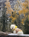 Soft Pound Cake Sherpa Jacket