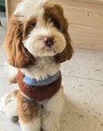 Velvety Cake Soft Brushed Sweater