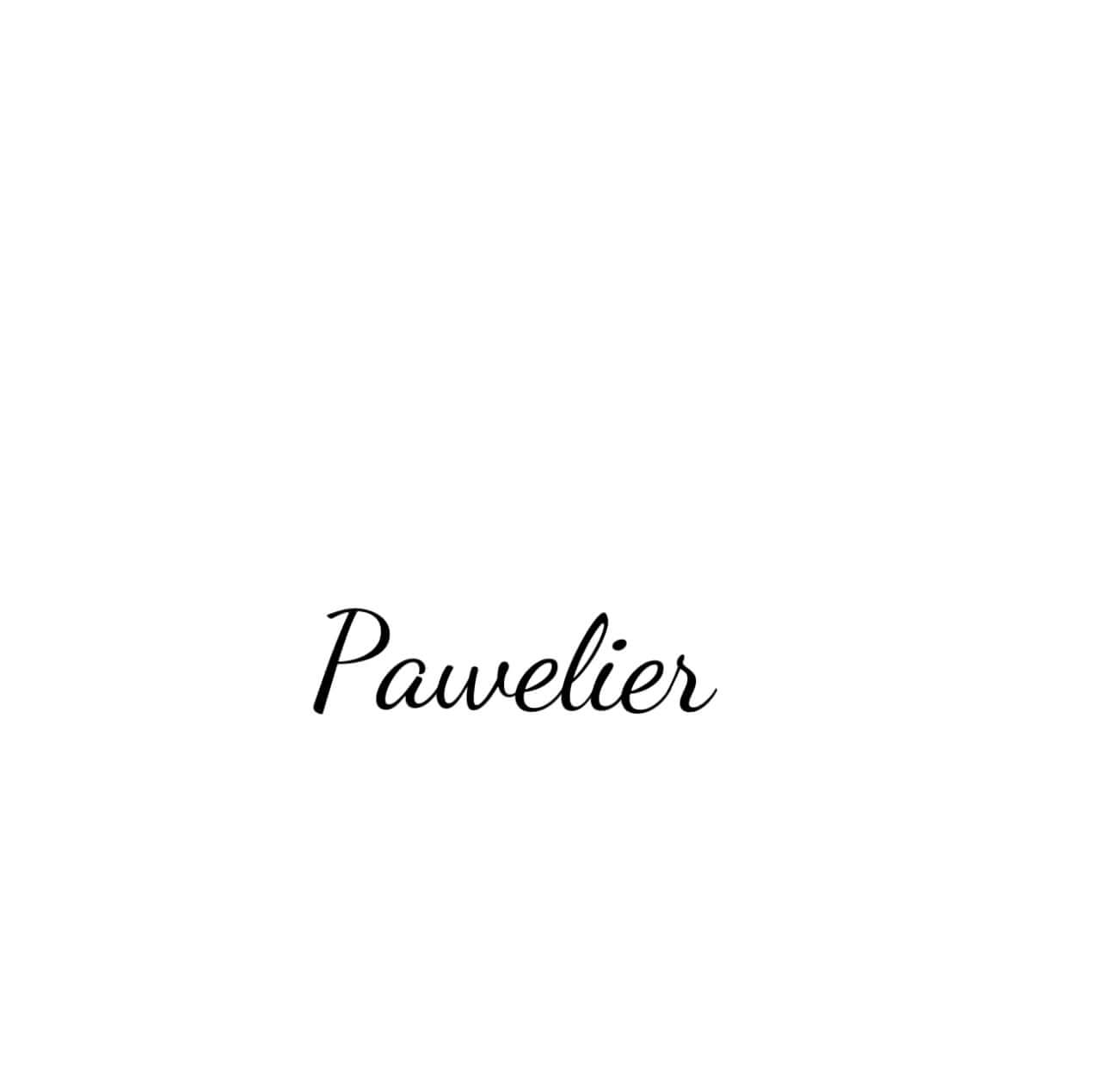 Welcome to Pawelier: Where Luxury Meets Pet Care