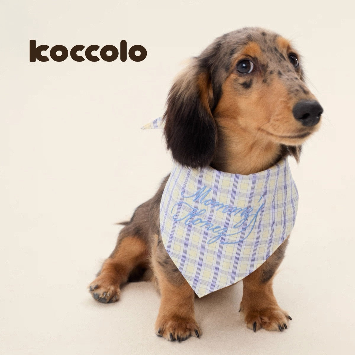 Koccolo