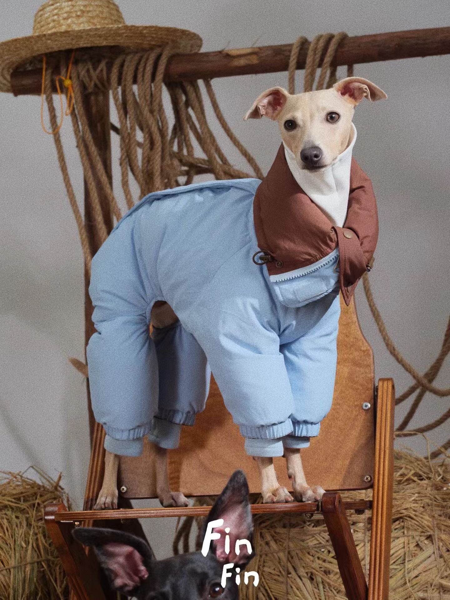 Winter Prelude Collection