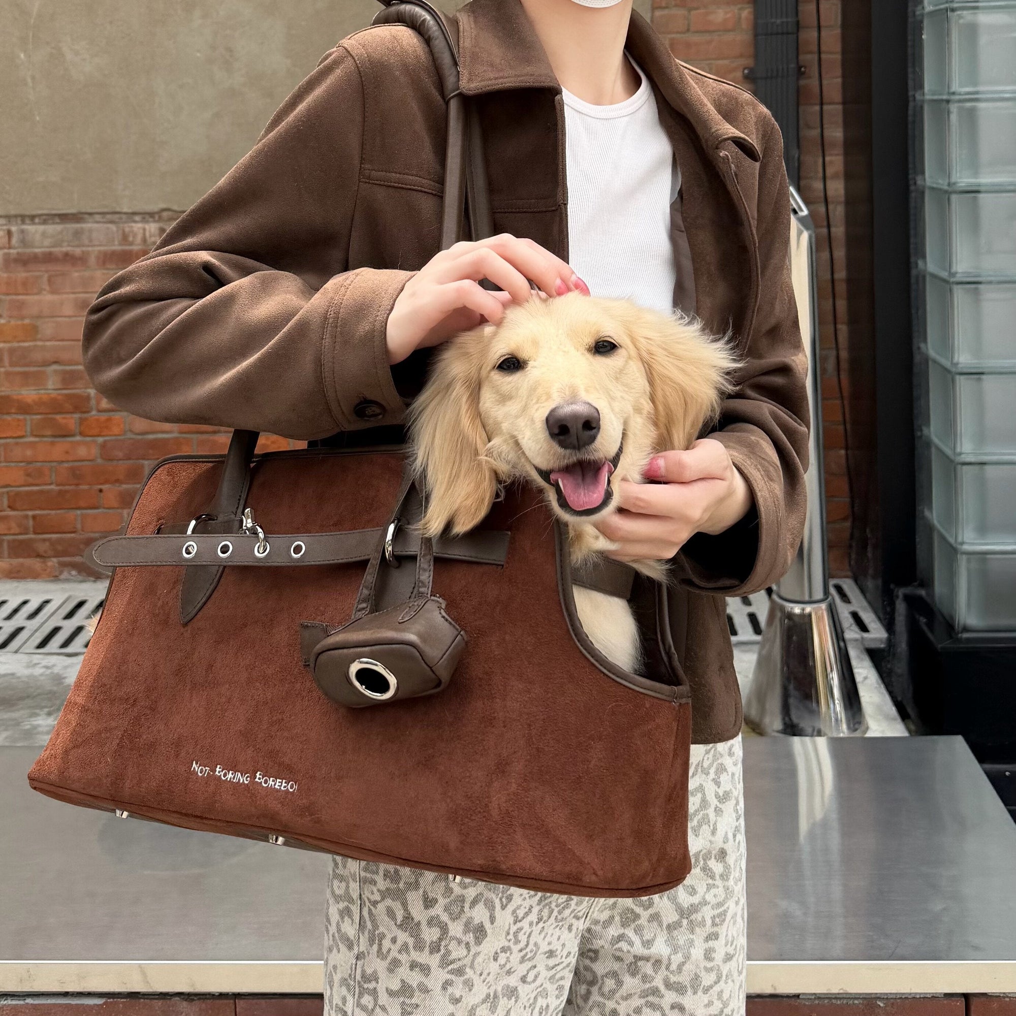 Pet Carriers & Bags