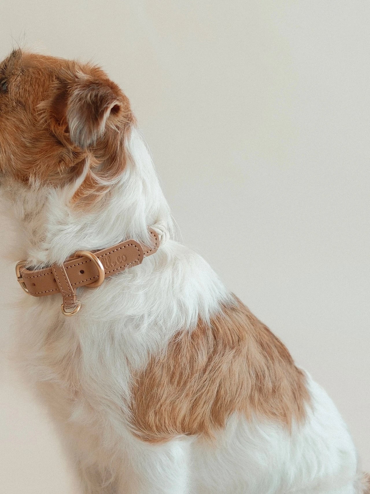 Lilco