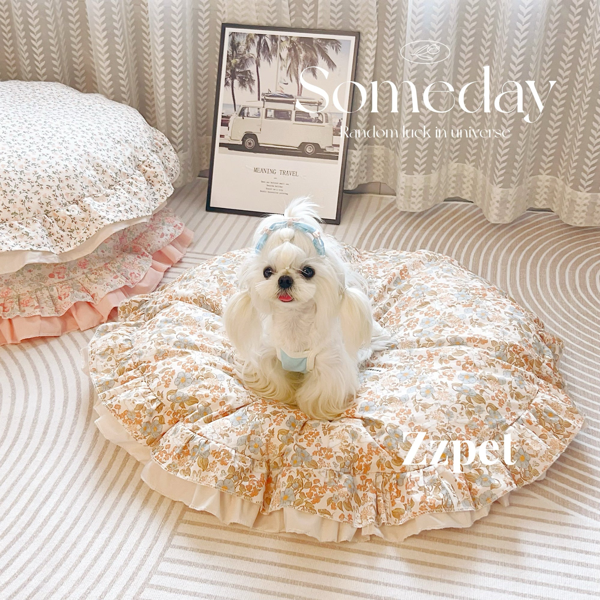 Zzpet