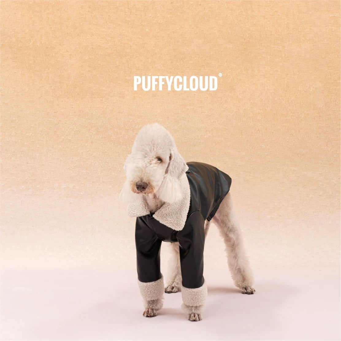 PUFFYCLOUD