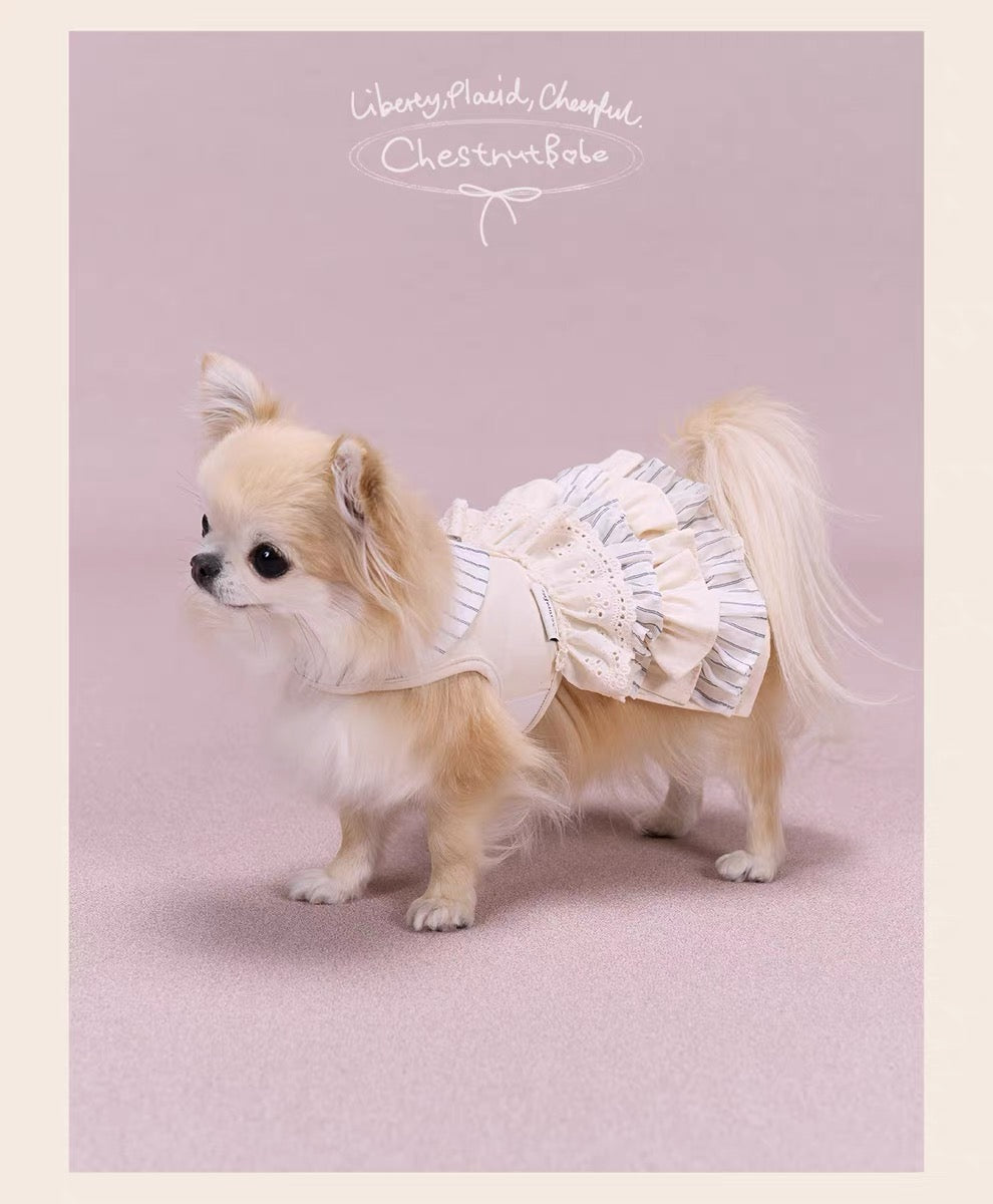 Belmont Club Ruffle Dress