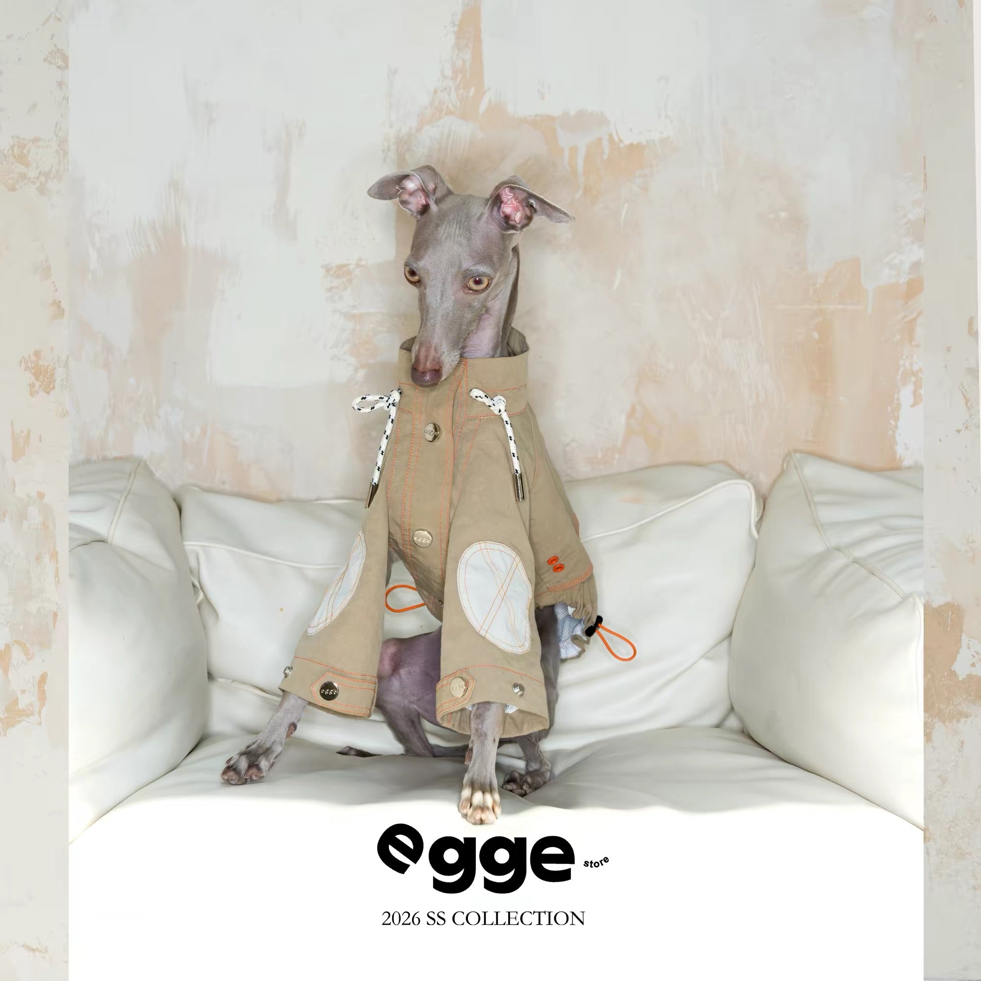 Breathable Waterproof Pet Windbreaker Jacket