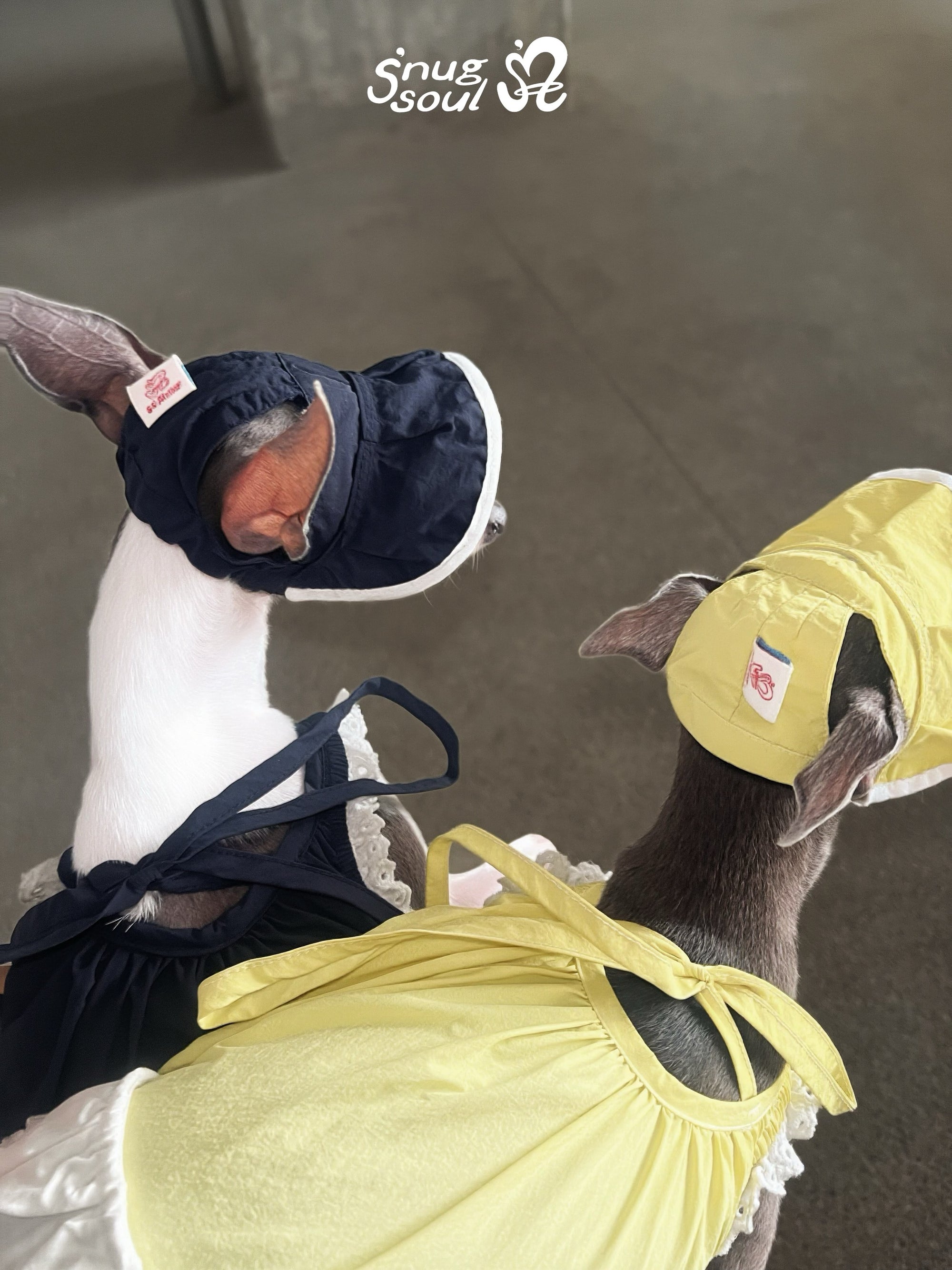 Yuzu Berry Personalise Fizzy Hat