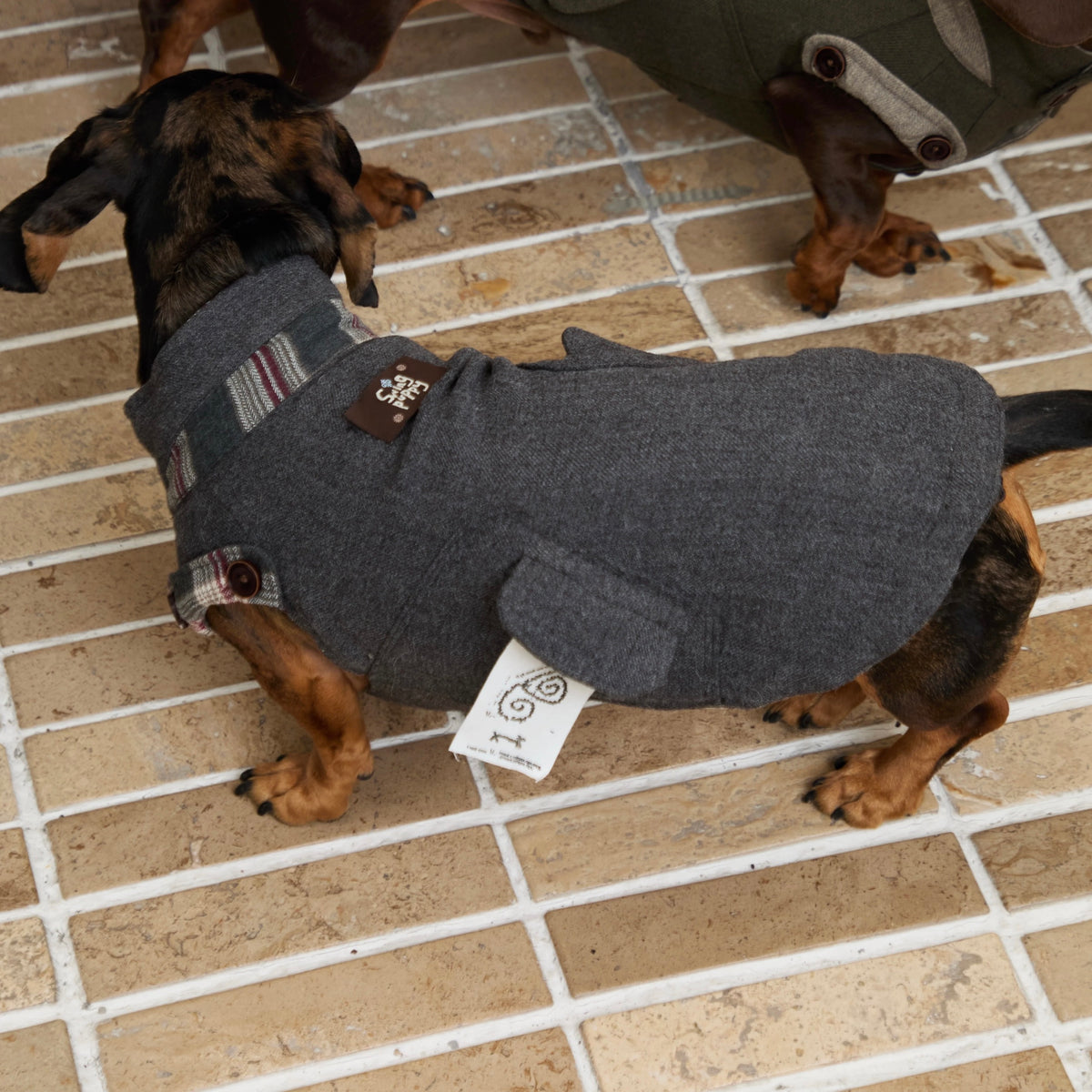 Windsor Reversible Plaid Dog Vest