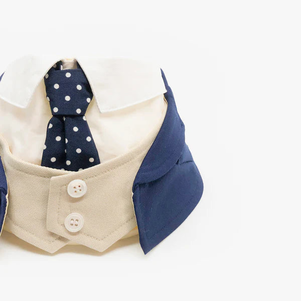 Queensway Decorative Pet Bandana