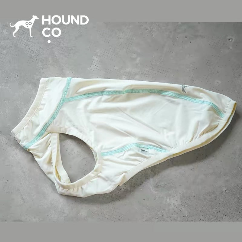 Summit Breeze Cooling Vest