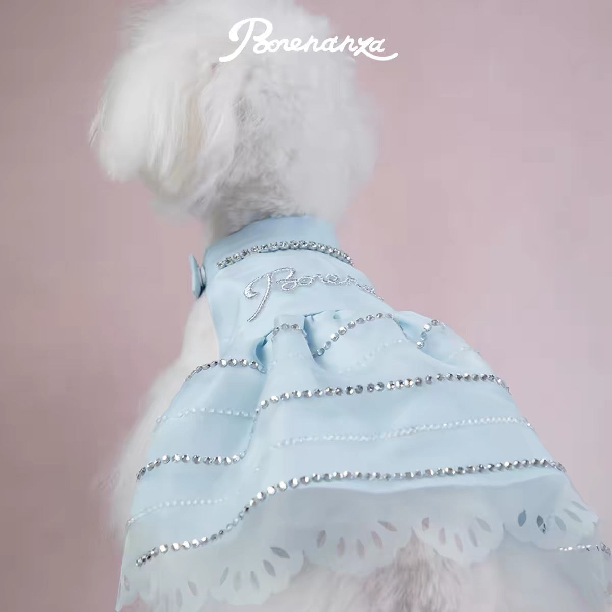 Anne's Diary Rhinestone Tulle Dress