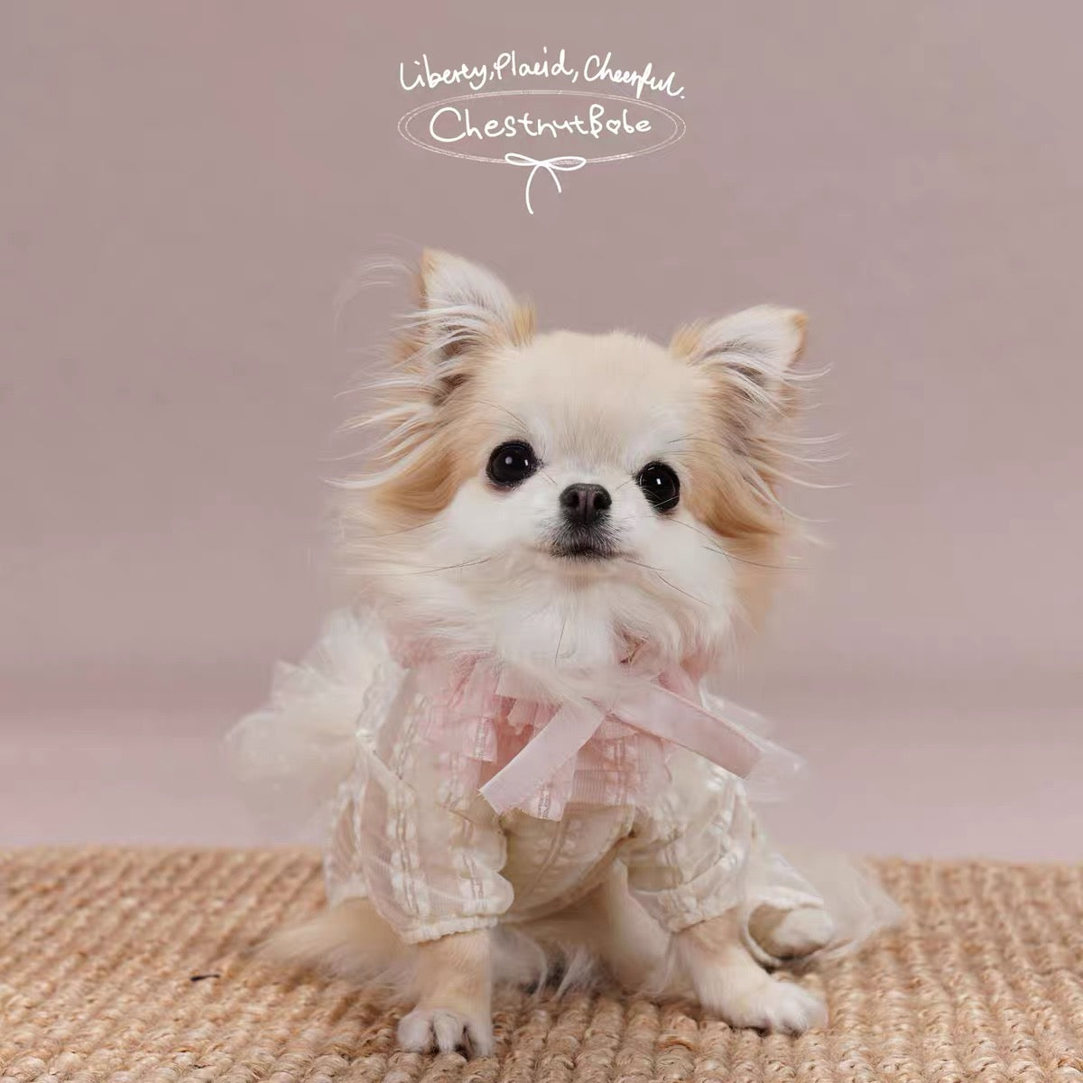Pirouette Tutu Bandana