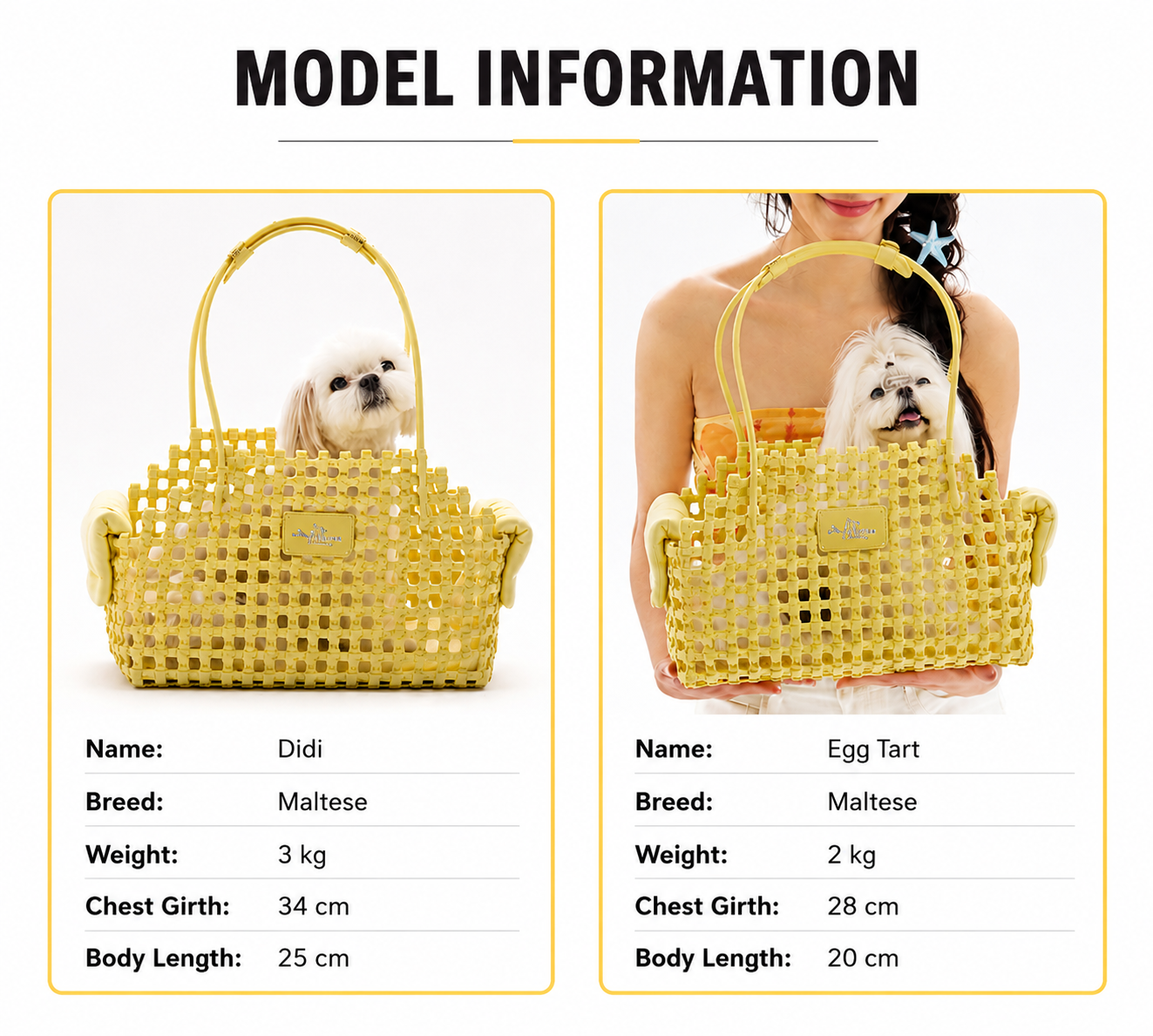 Capri Soleia Carrier