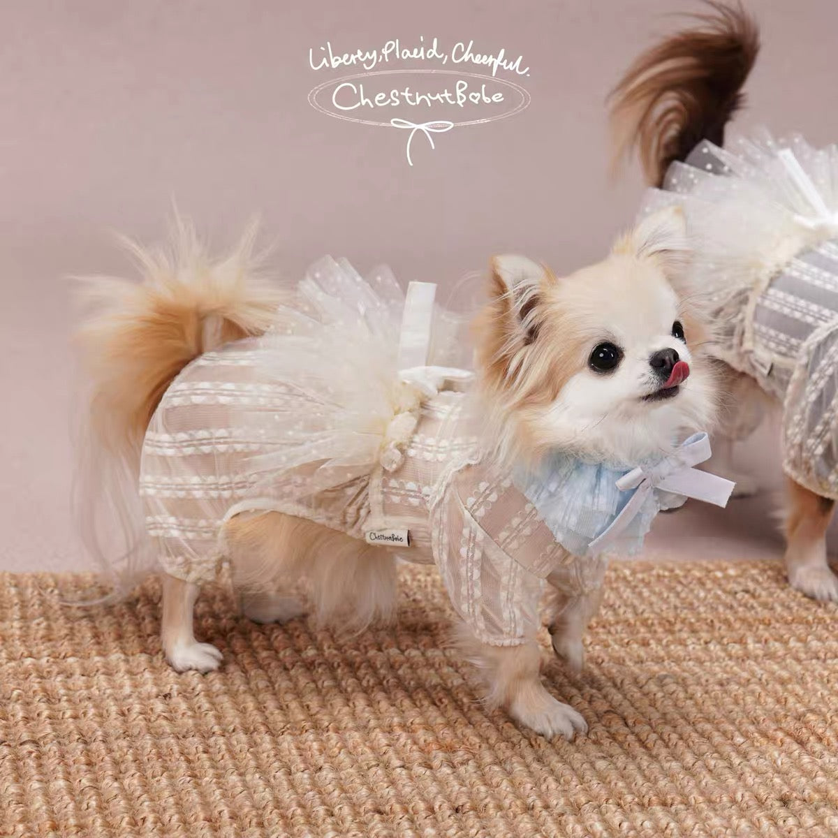 Pirouette Tutu Bandana
