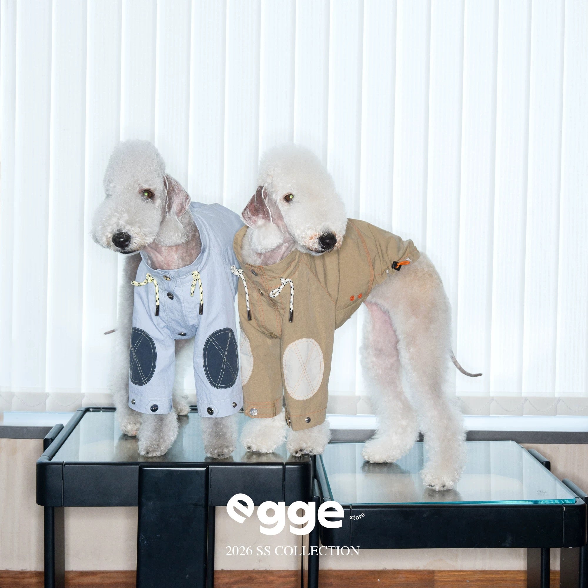 Breathable Waterproof Pet Windbreaker Jacket