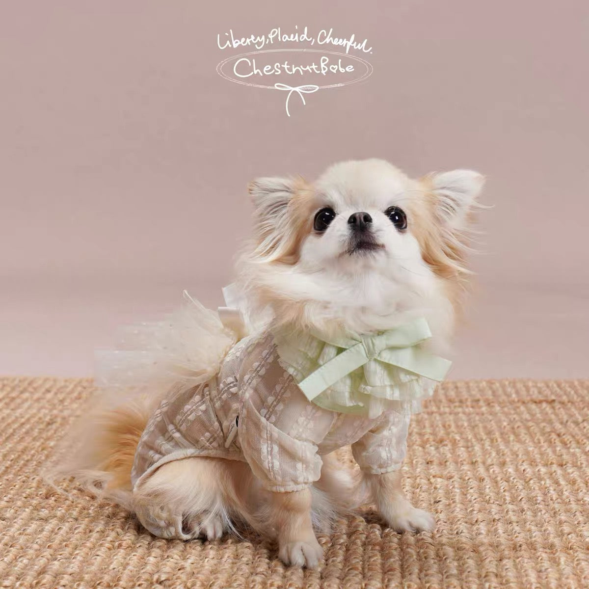 Pirouette Tutu Bandana