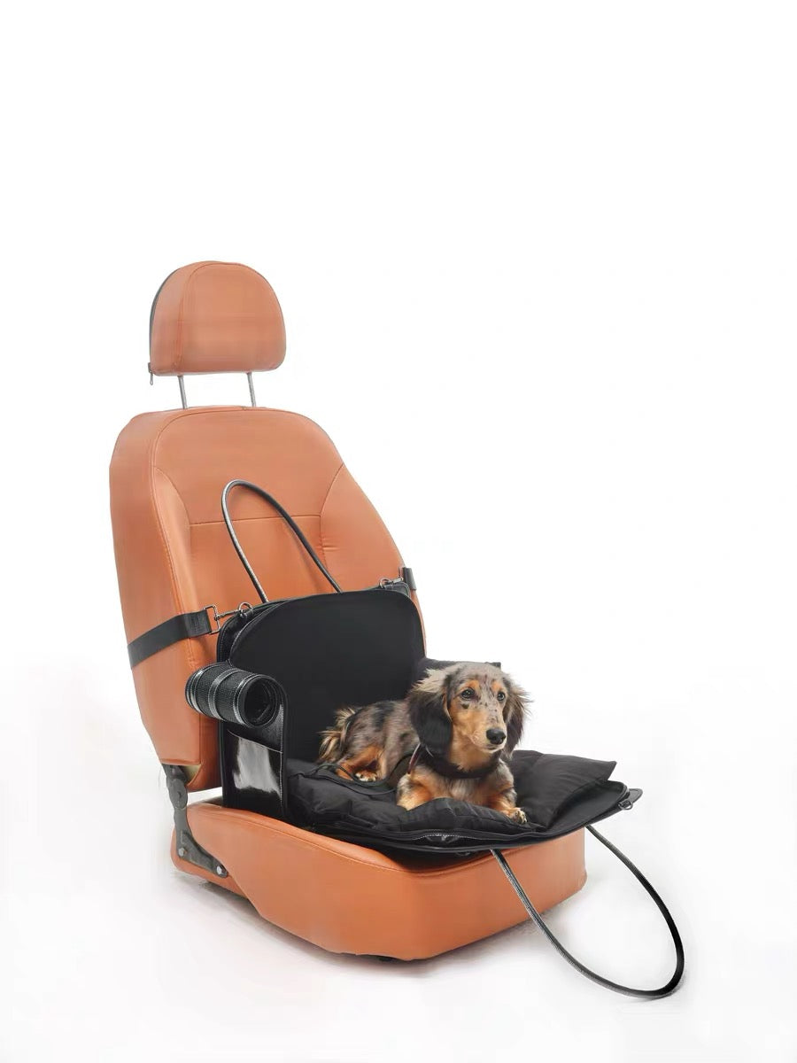 Lumiere Voyage Carrier