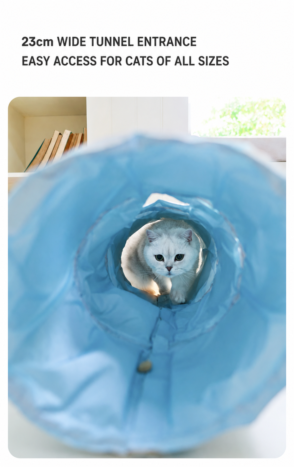 2-in-1 Cooling Tunnel Pet Mat