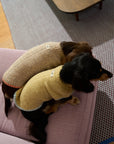 Winter Berry Cozy Knit Sweater