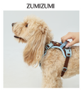 Chelsea Everyday Sporty H-shape Harness--Brown&Blue