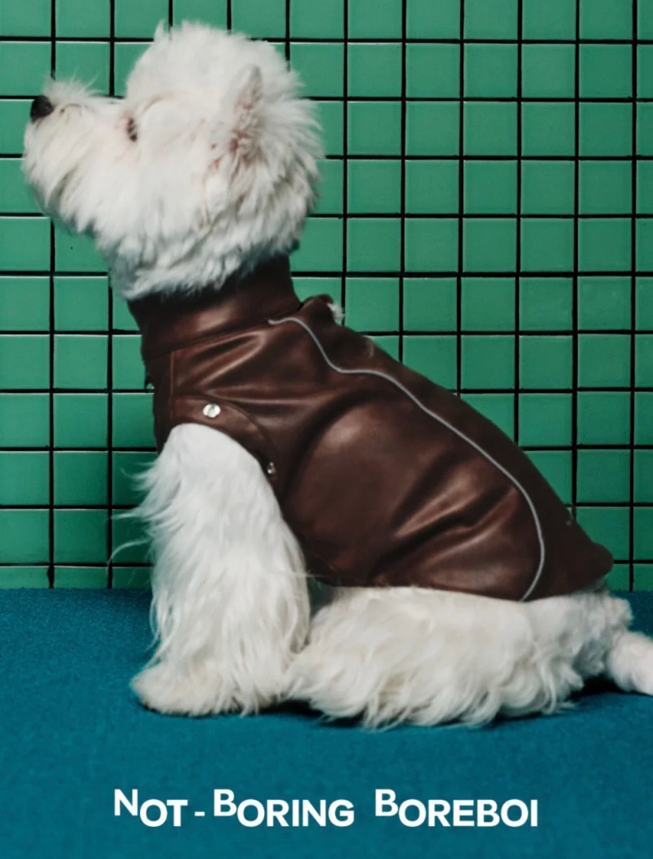 Caramel Macchiato Vest