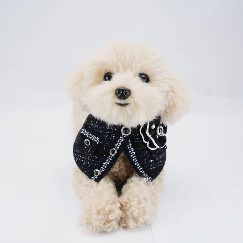 Parisian Style Outfit for Cats &amp; Dogs