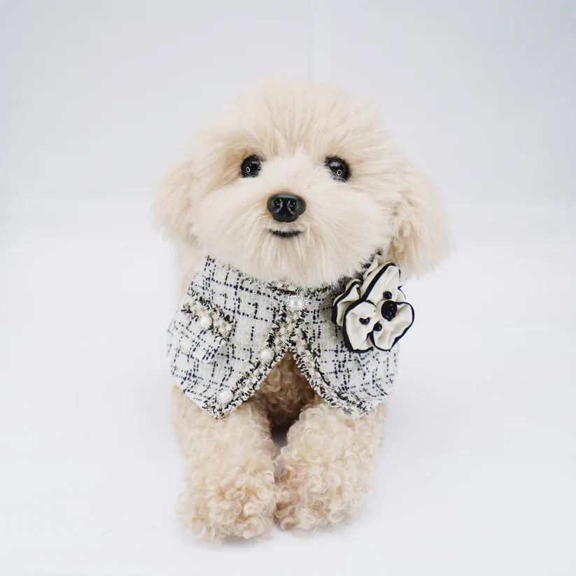 Parisian Style Outfit for Cats &amp; Dogs