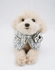 Parisian Style Outfit for Cats & Dogs