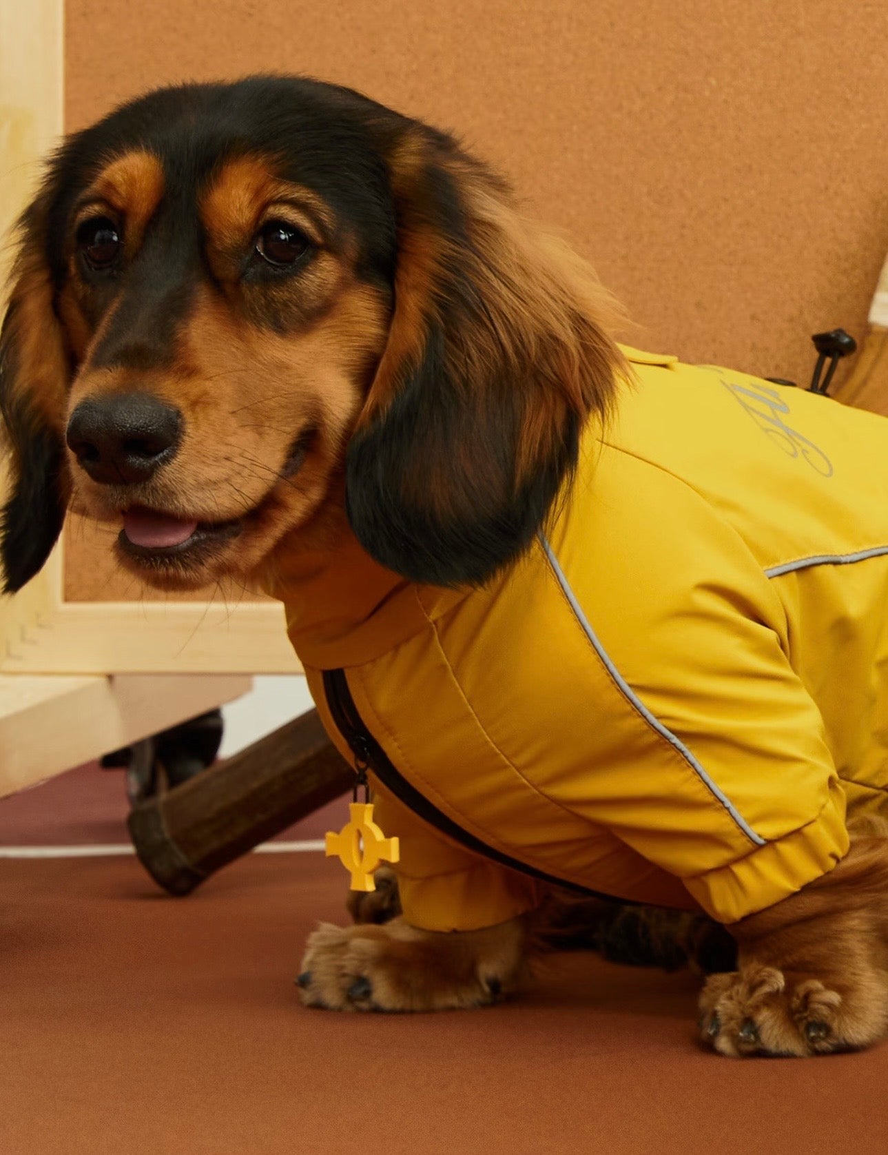 Golden Trail Rain Suit