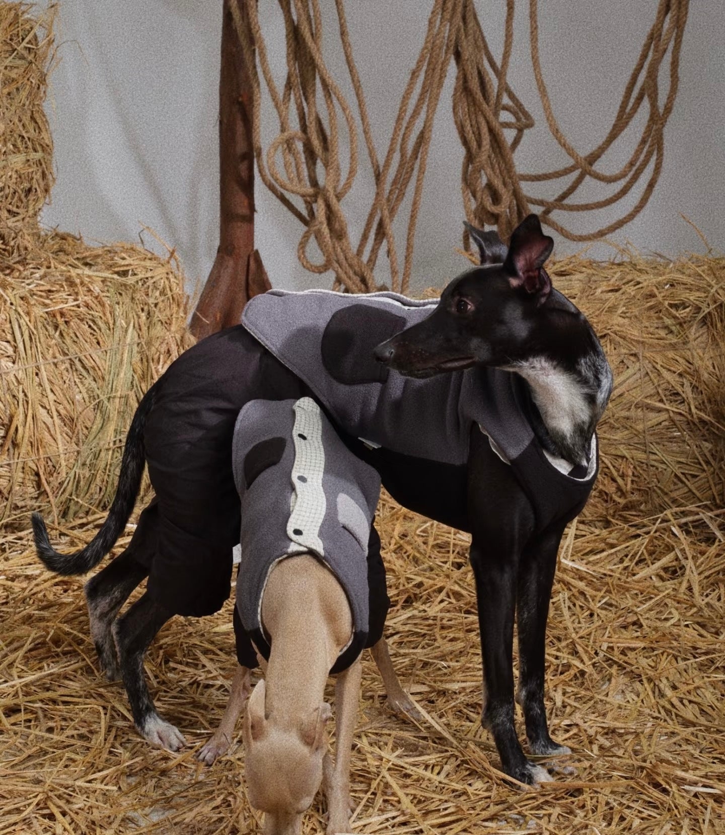 Patchwork Cotton Jacket