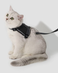 Mountain Valley Mini Horse Saddle Cat Harness & Leash Set