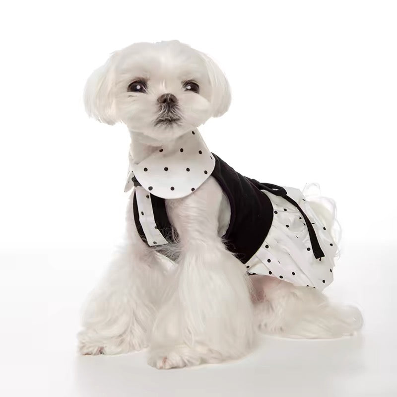 Mademoiselle Polka Dress